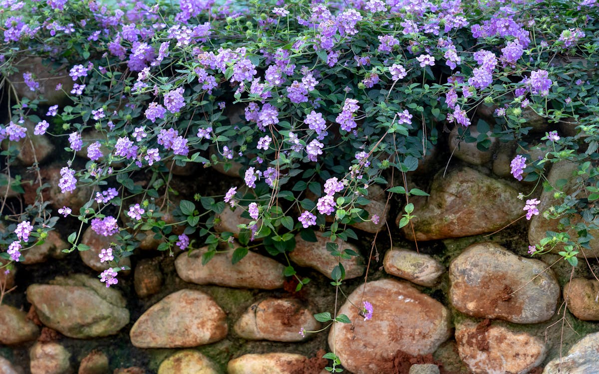 Long-lasting retaining wall Long Island