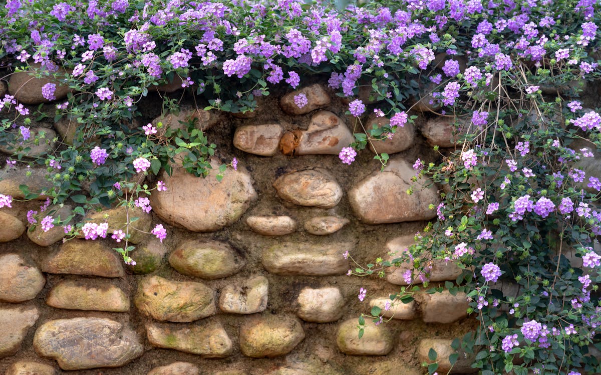 Stone retaining wall