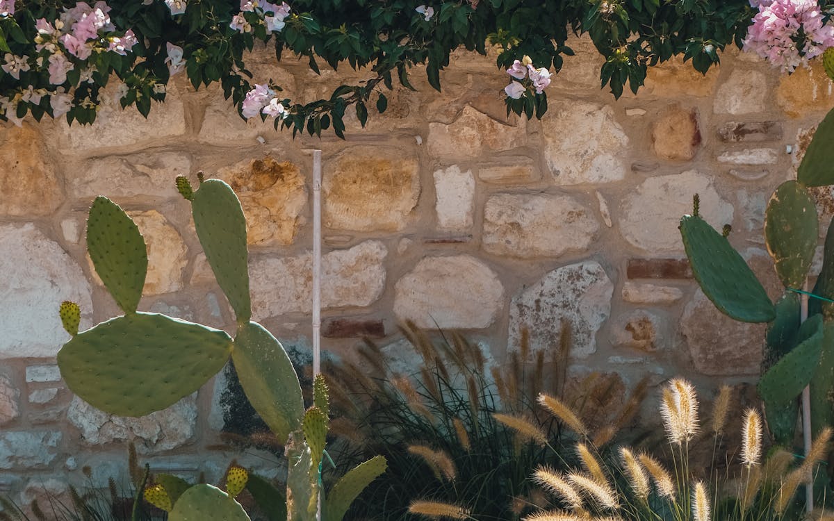 Tiered retaining wall holding hillside