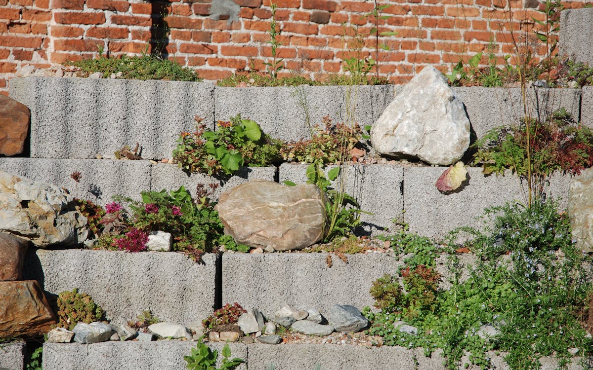 North Shore soil and slope